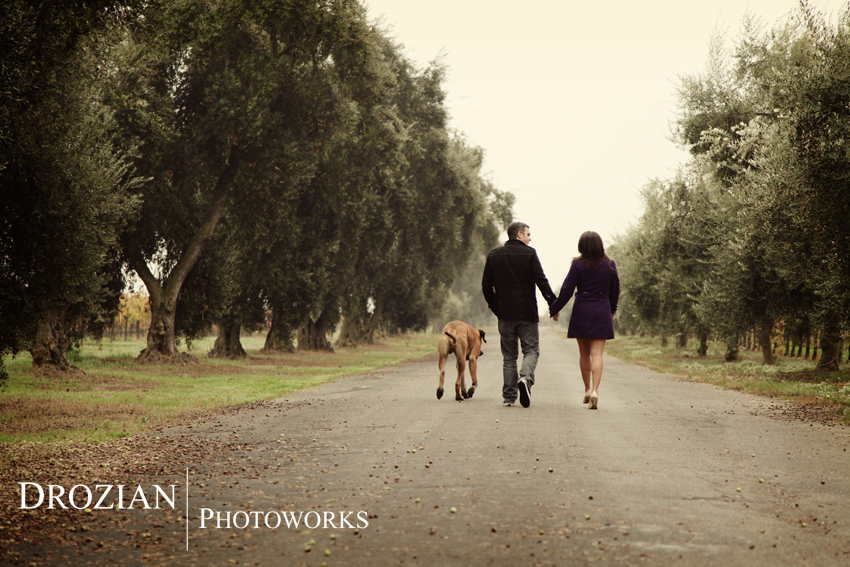Lodi-Engagement-Photography-Jessie's-Grove-Winery-AL03