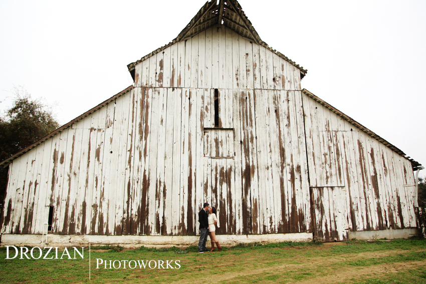 Lodi-Engagement-Photography-Jessie's-Grove-Winery-AL04
