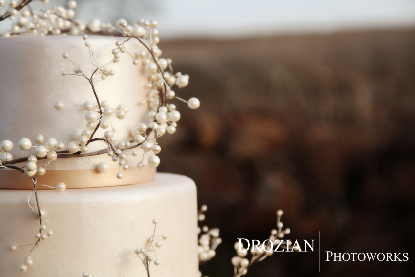chico-wedding-cake-bakery-lovely-layers-cakery-006
