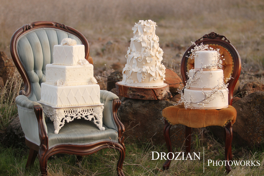 chico-wedding-cake-bakery-lovely-layers-cakery-011