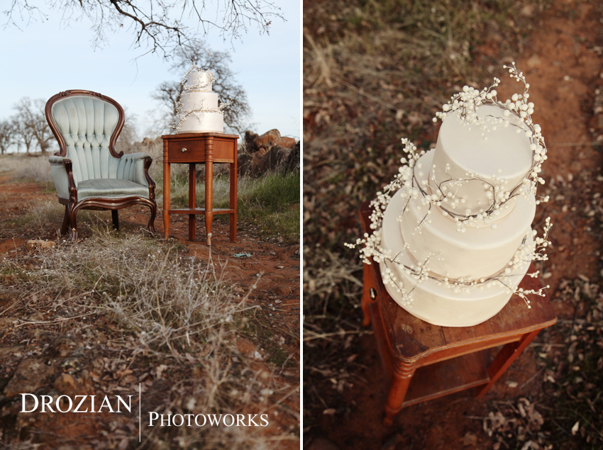 chico-wedding-cake-bakery-lovely-layers-cakery-020