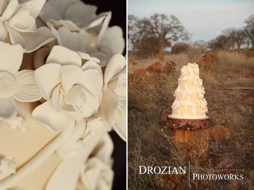 chico-wedding-cake-bakery-lovely-layers-cakery-021