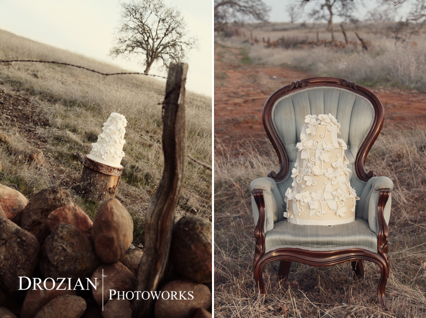 chico-wedding-cake-bakery-lovely-layers-cakery-022