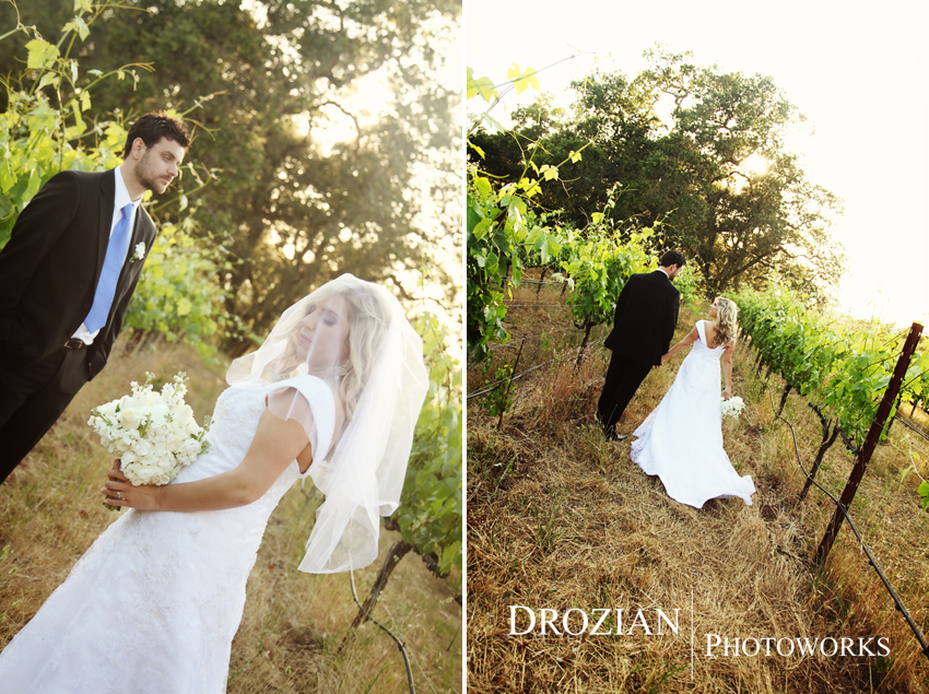 Paradise-Ridge-Wedding-Santa-Rosa-AL-013