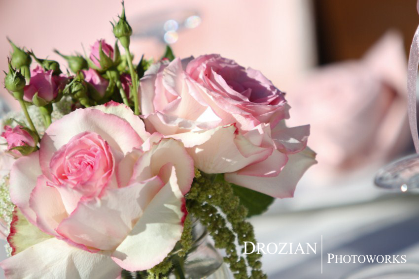 Santa-Rosa-Wedding-Photography-022