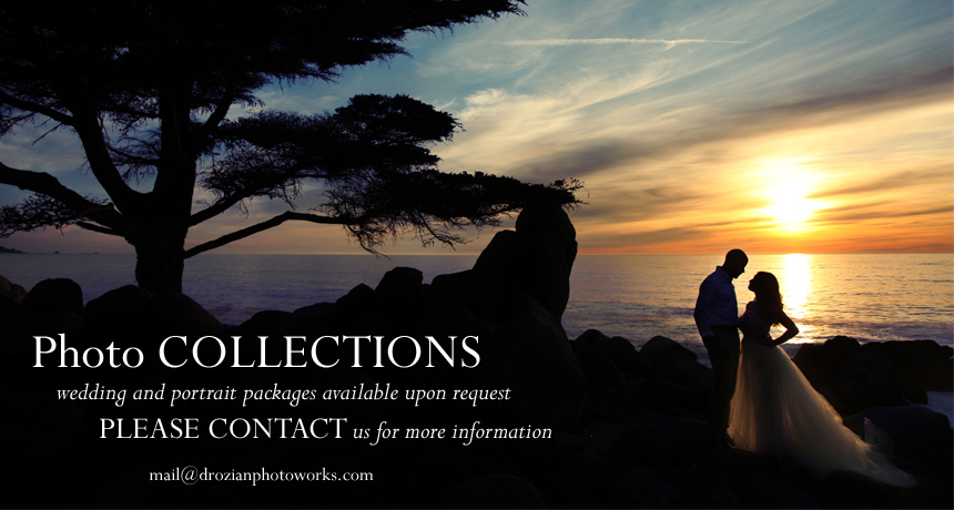 Photo Collections. Wedding and Portrait packages available upon request. Please contact us for more information.