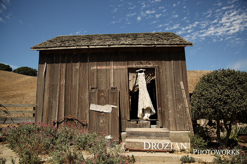 San-Ramon-Bohemian-Wedding-006