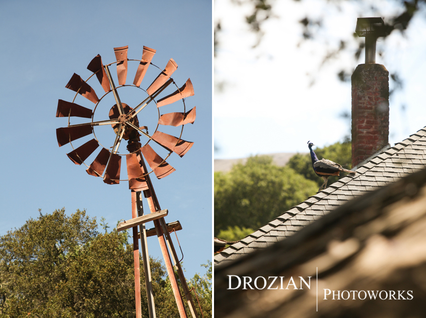 San-Ramon-Bohemian-Wedding-012