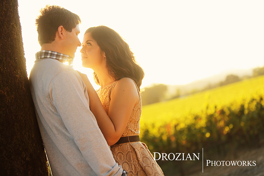Healdsburg-Winery-Engagement-014