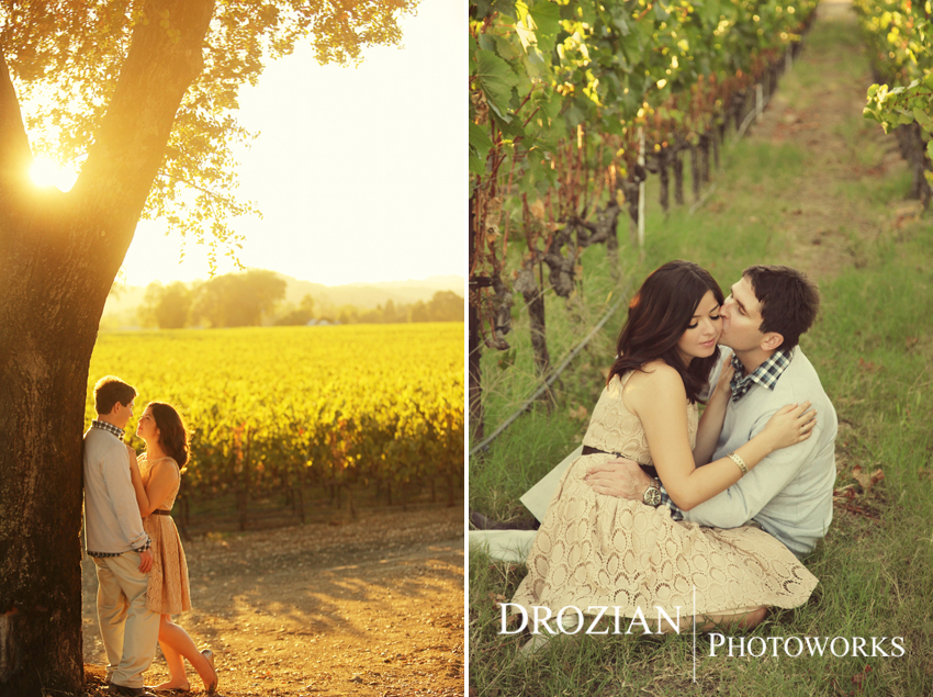 Healdsburg-Winery-Engagement-015