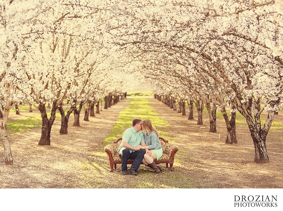 Orland-Orchard-Engagement-001
