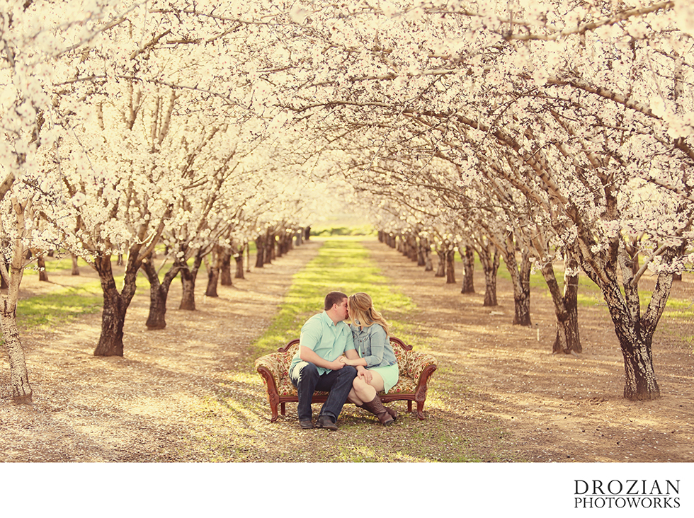 Orland-Orchard-Engagement-001