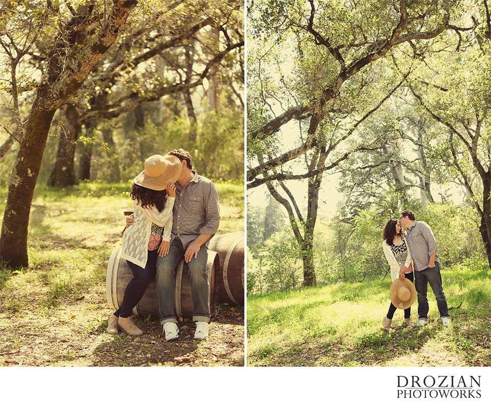 Downtown-Sonoma-Engagement-002