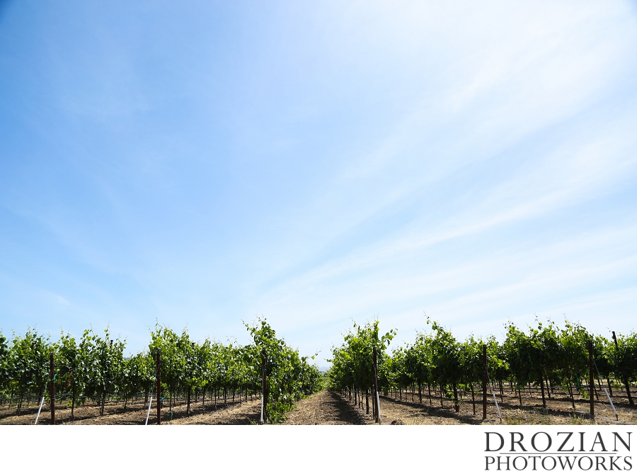 Garden-Pavilion-Sonoma-Wedding-010