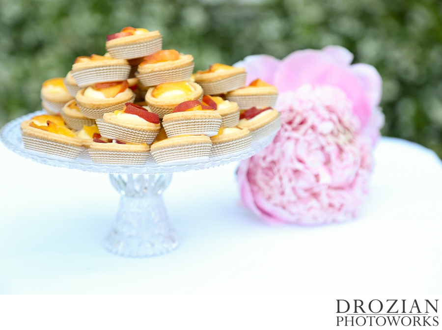 Garden-Pavilion-Sonoma-Wedding-043