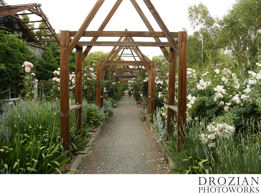 Garden-Pavilion-Sonoma-Wedding-052