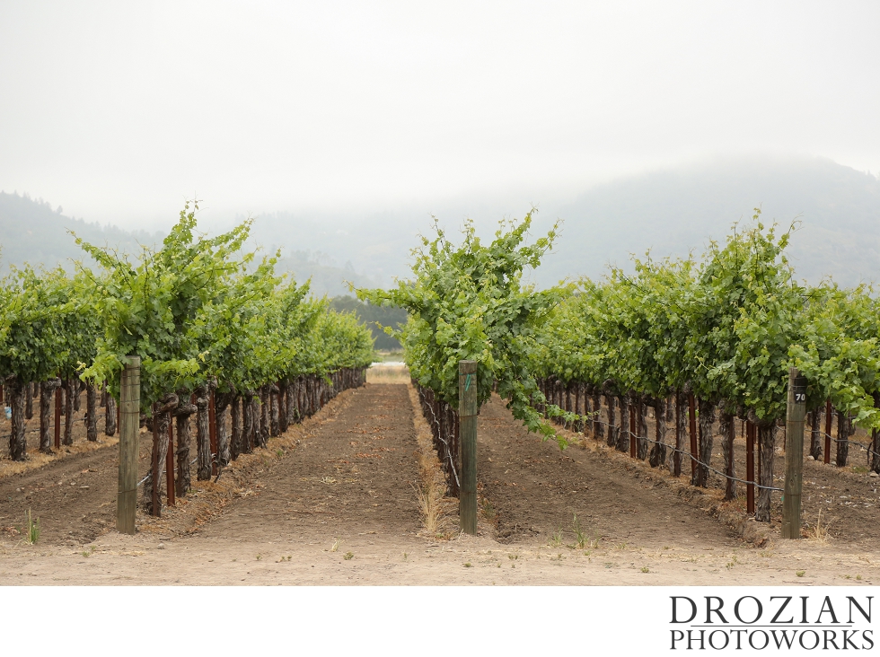 Hans-Fahden-Vineyards-Wedding-003