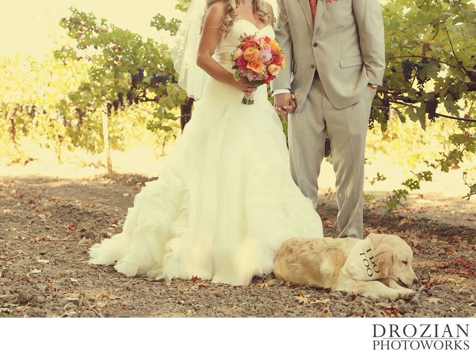 Napa-Valley-Estate-Wedding-001