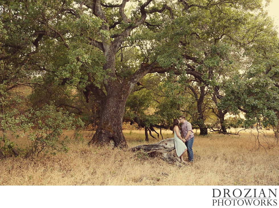 Red-Bluff Oak Tree Engagement Photography-001