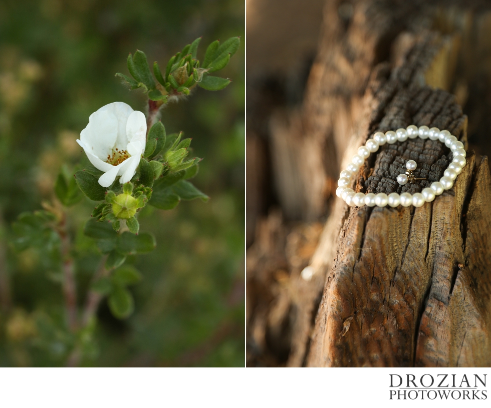 Lake-Almanor-Wedding-Photography-007