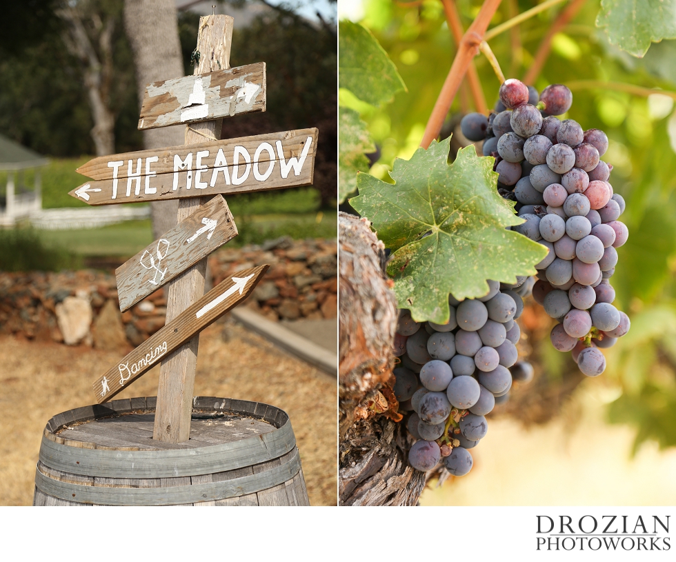 Cielo-Estate-Winery-Wedding-004