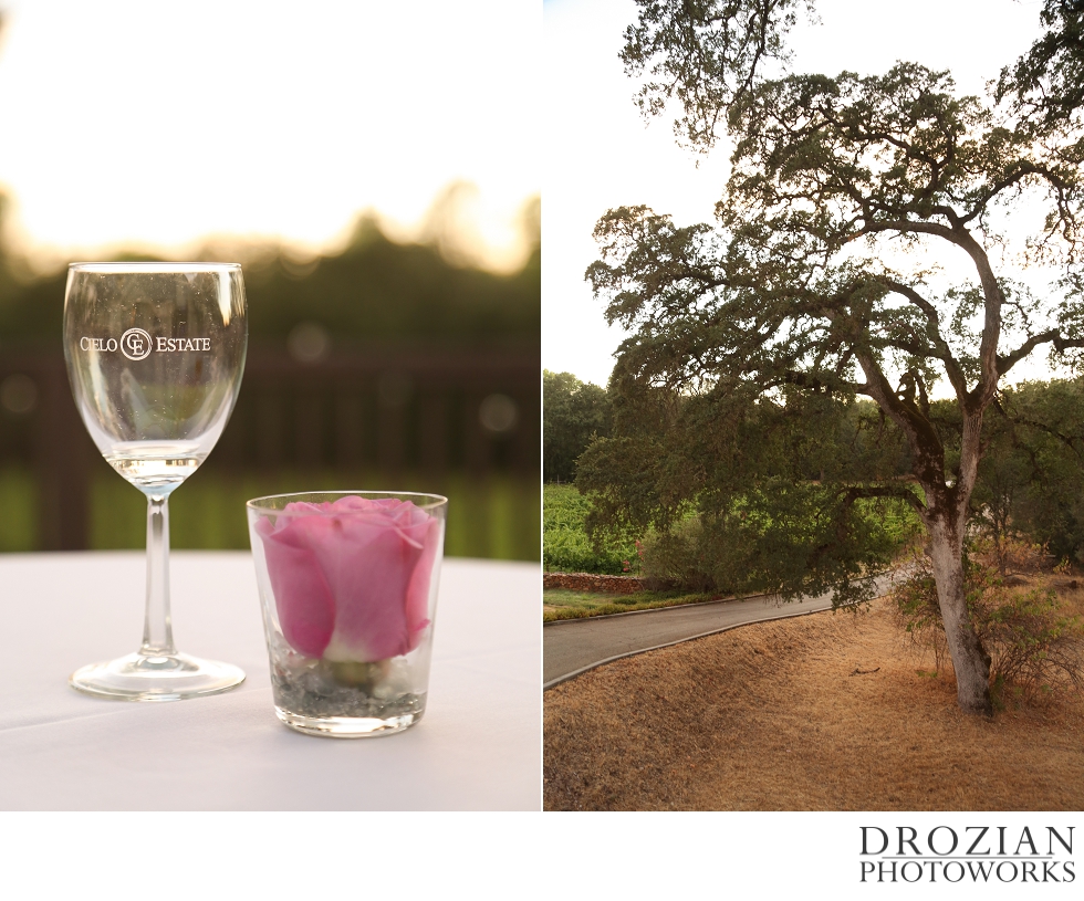 Cielo-Estate-Winery-Wedding-022