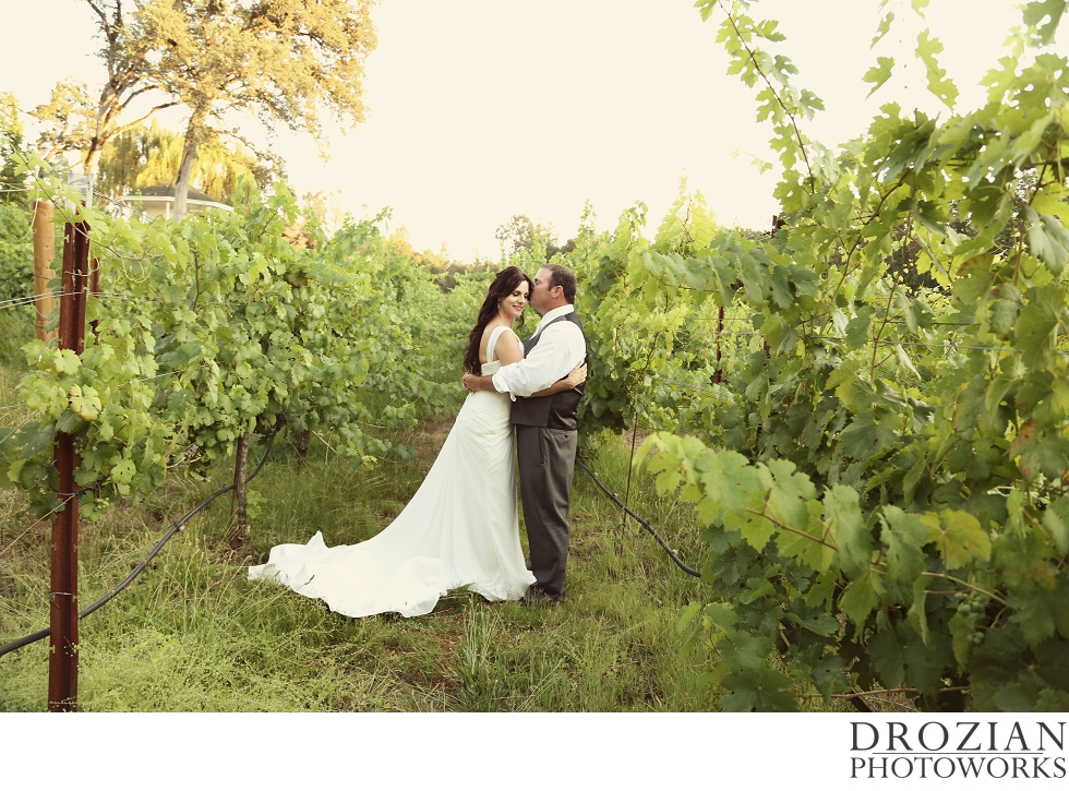 Cielo-Estate-Winery-Wedding-025