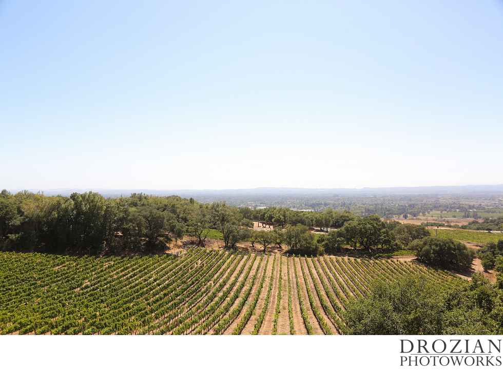 Paradise-Ridge-Winery-Wedding-Santa-Rosa-002