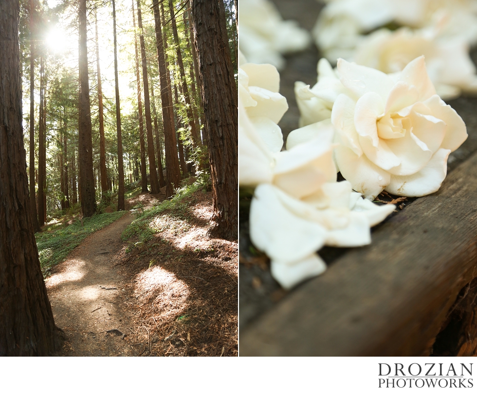 Brazilian-Room-Wedding-Berkeley-003