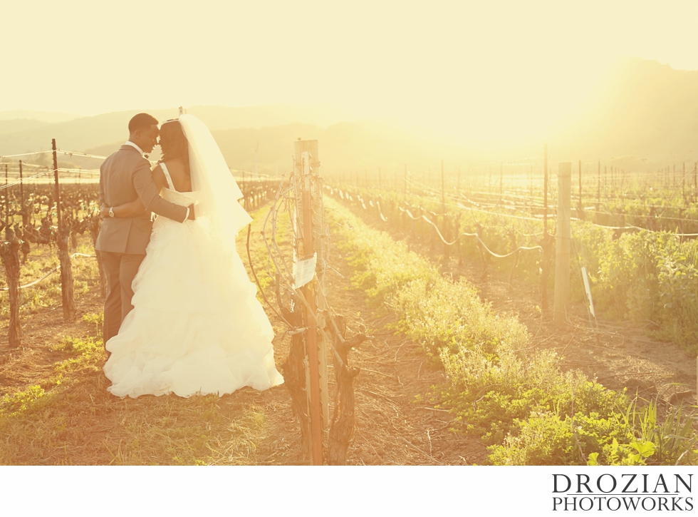 Napa-Marriott-Nigerian-Wedding-020