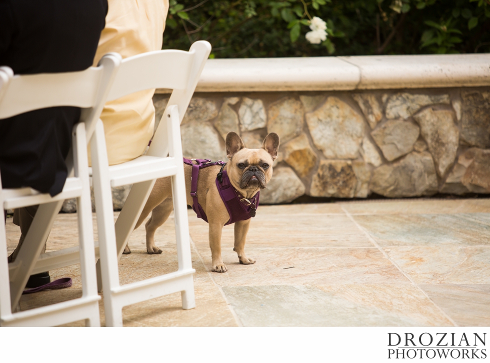 Arden-Hills-Wedding-Photography-28