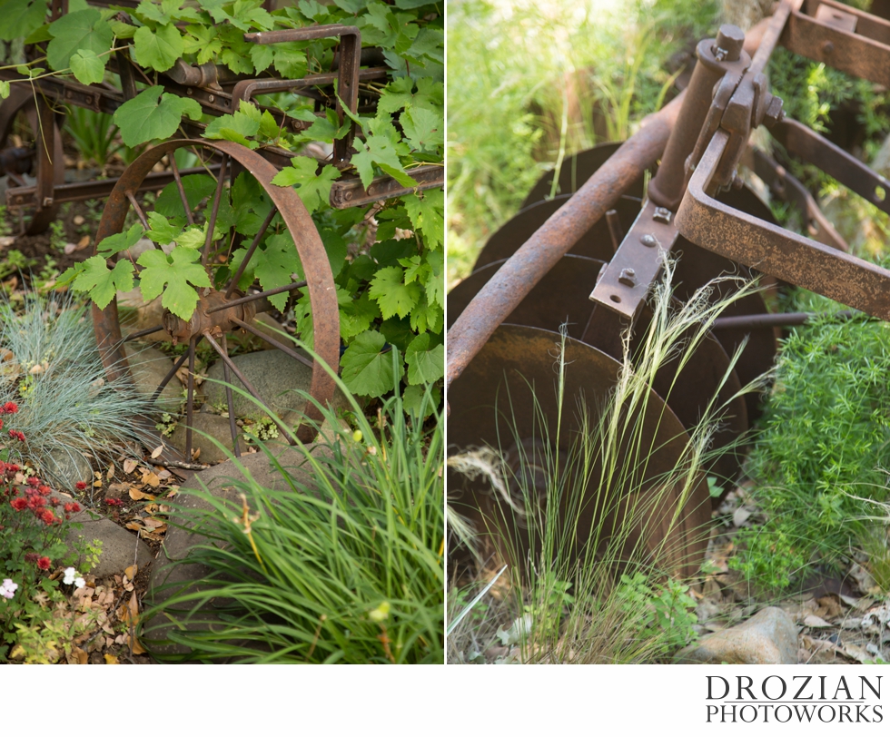 Centerville-Estates-Chico-Wedding-007
