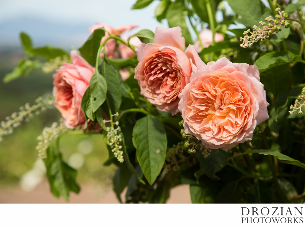 Thomas-George-Estates-Winery-Wedding-24