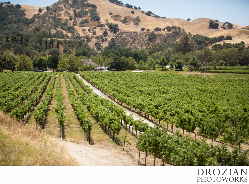 Wente-Vineyards-Wedding-11