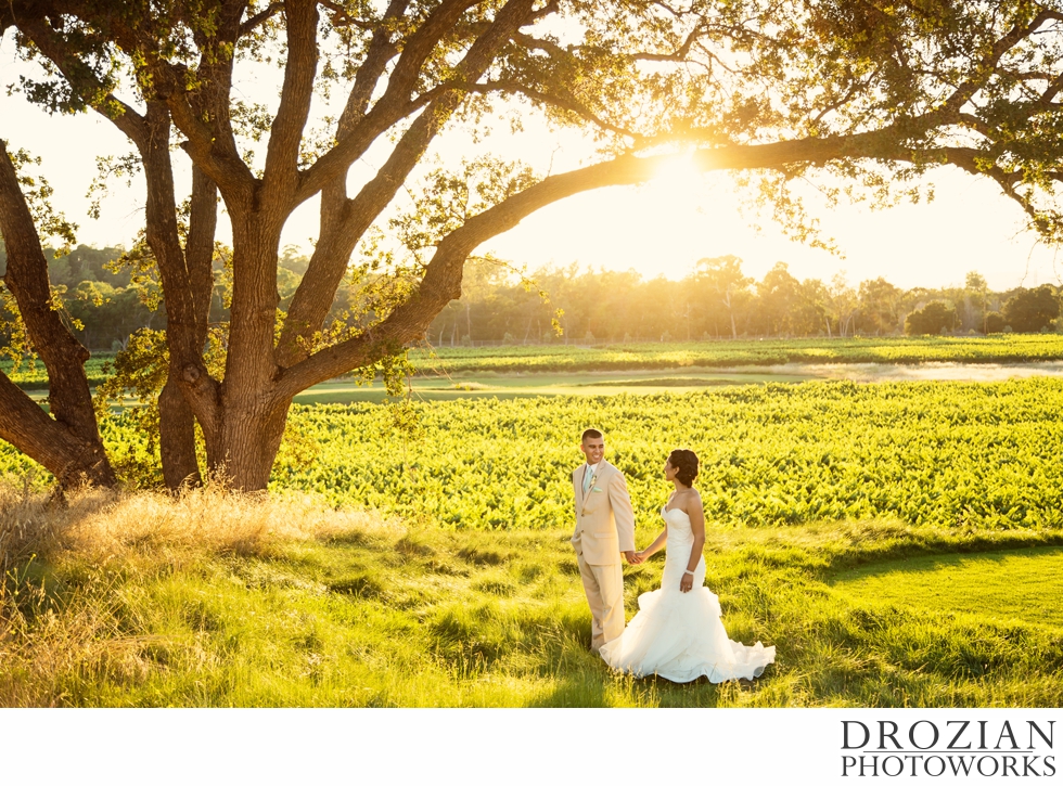 Wente-Vineyards-Wedding-30