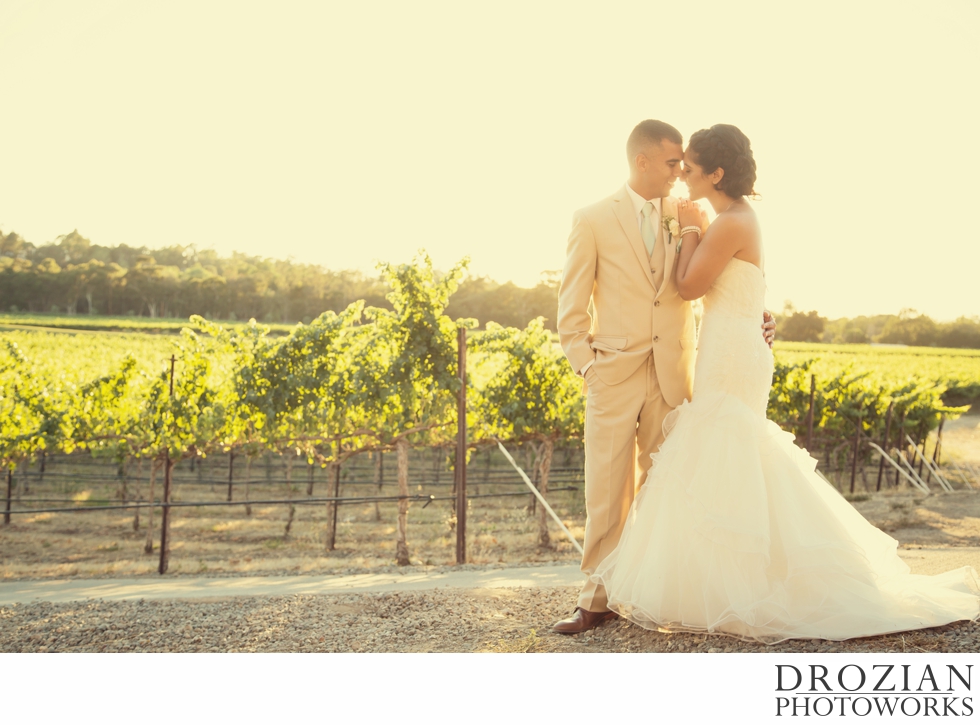 Wente-Vineyards-Wedding-31