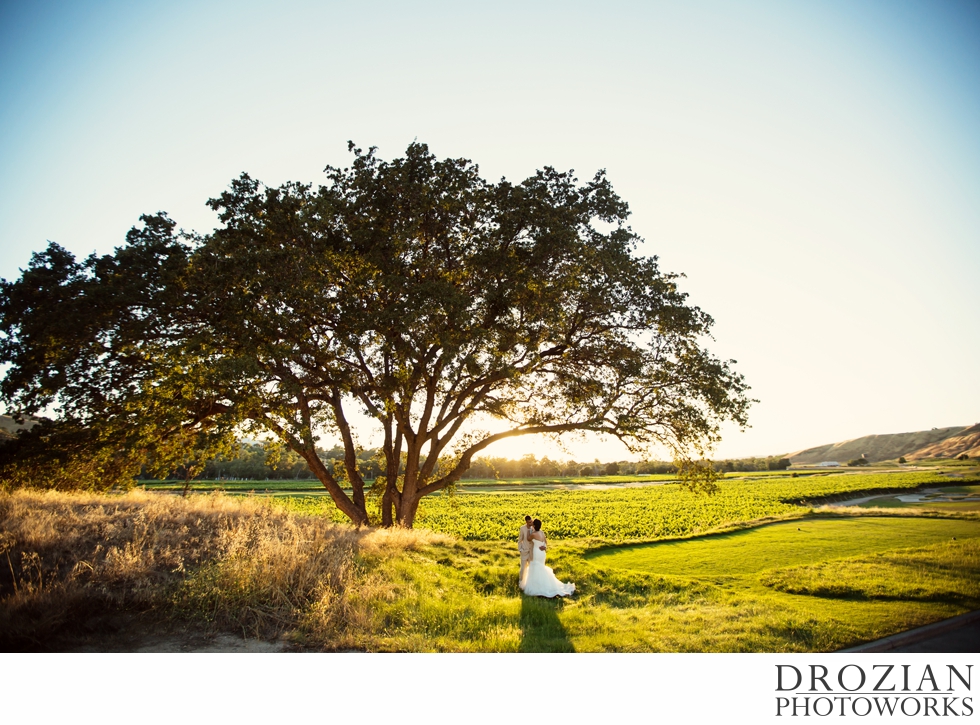 Wente-Vineyards-Wedding-33