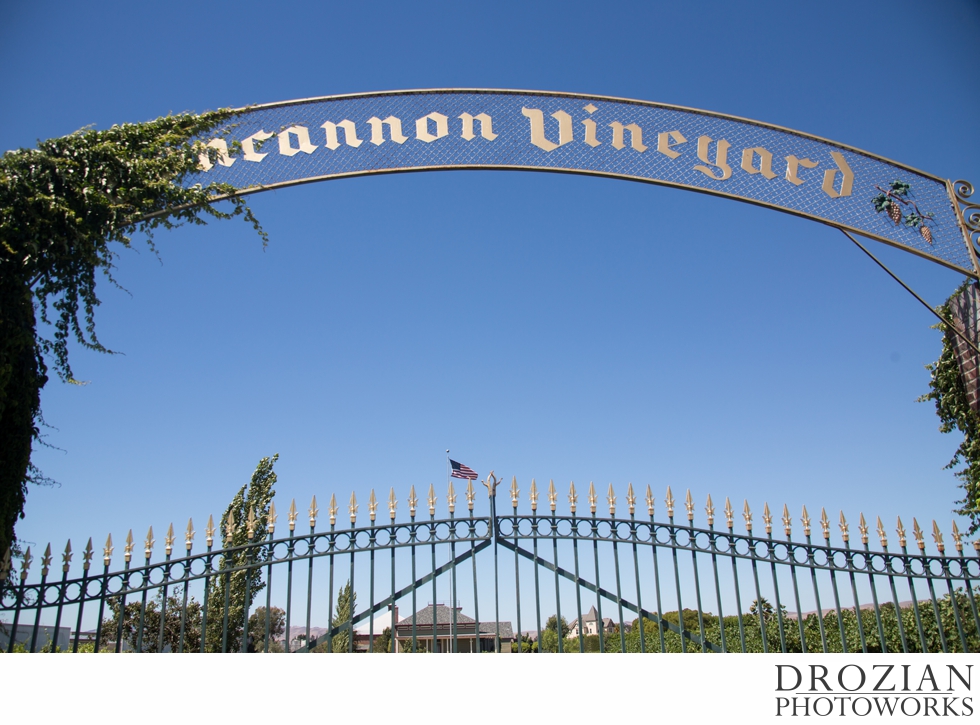 Concannon-Vineyard-Wedding-Photography-Drozian-Photoworks-009