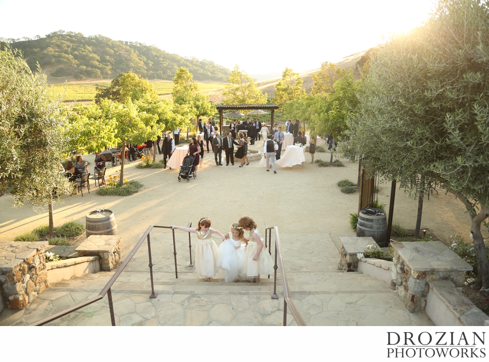 Clos-La-Chance-Winery-Wedding-Drozian-Photoworks-016