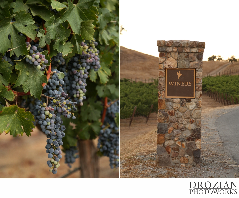 Clos-La-Chance-Winery-Wedding-Drozian-Photoworks-020