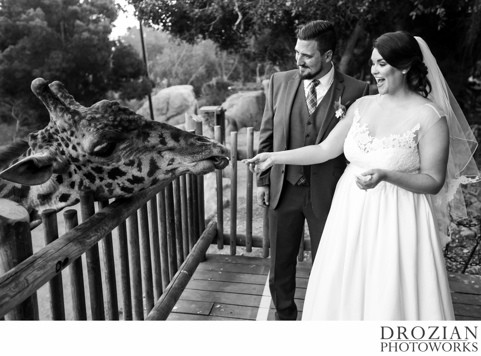 santa-barbara-zoo-wedding-drozian-photoworks-001