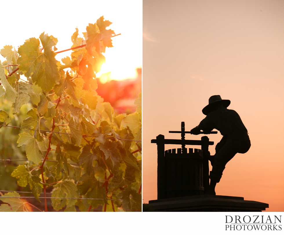 Meritage-Resort-Napa-Wedding-Drozian-Photoworks-014