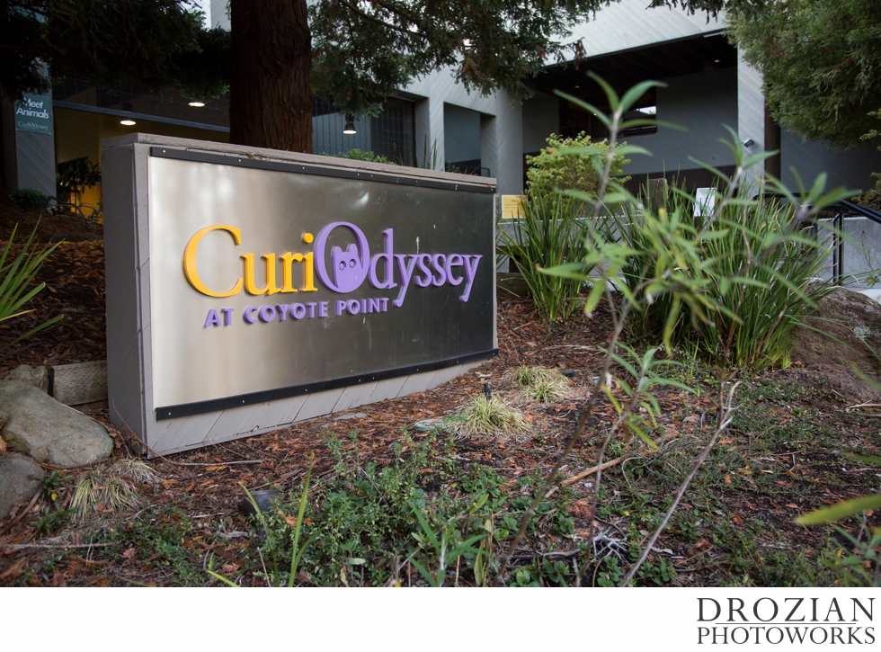 Curiodyssey-San-Mateo-Zoo-Wedding-015