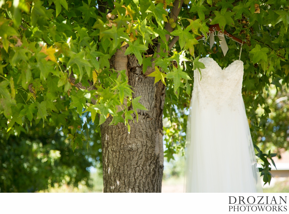 Redding-Backyard-Wedding-002