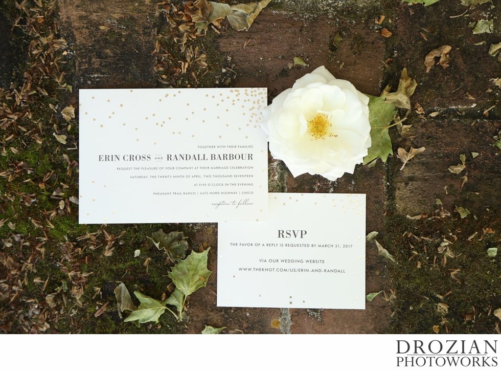 Chico-Orchard-Wedding-Drozian-Photoworks-2017-007