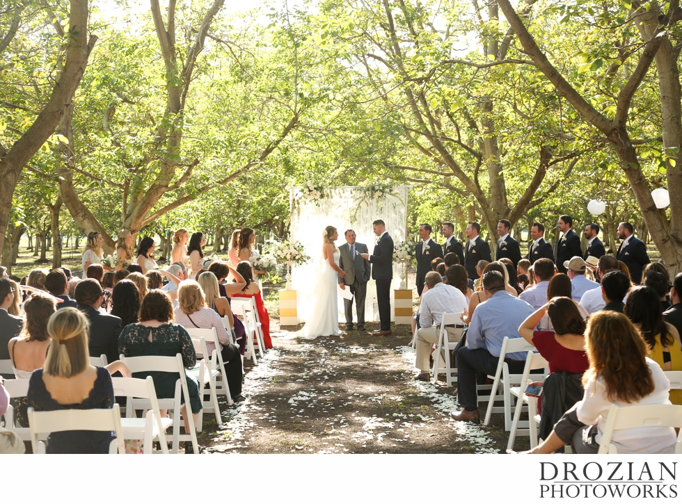 Chico-Orchard-Wedding-Drozian-Photoworks-2017-011