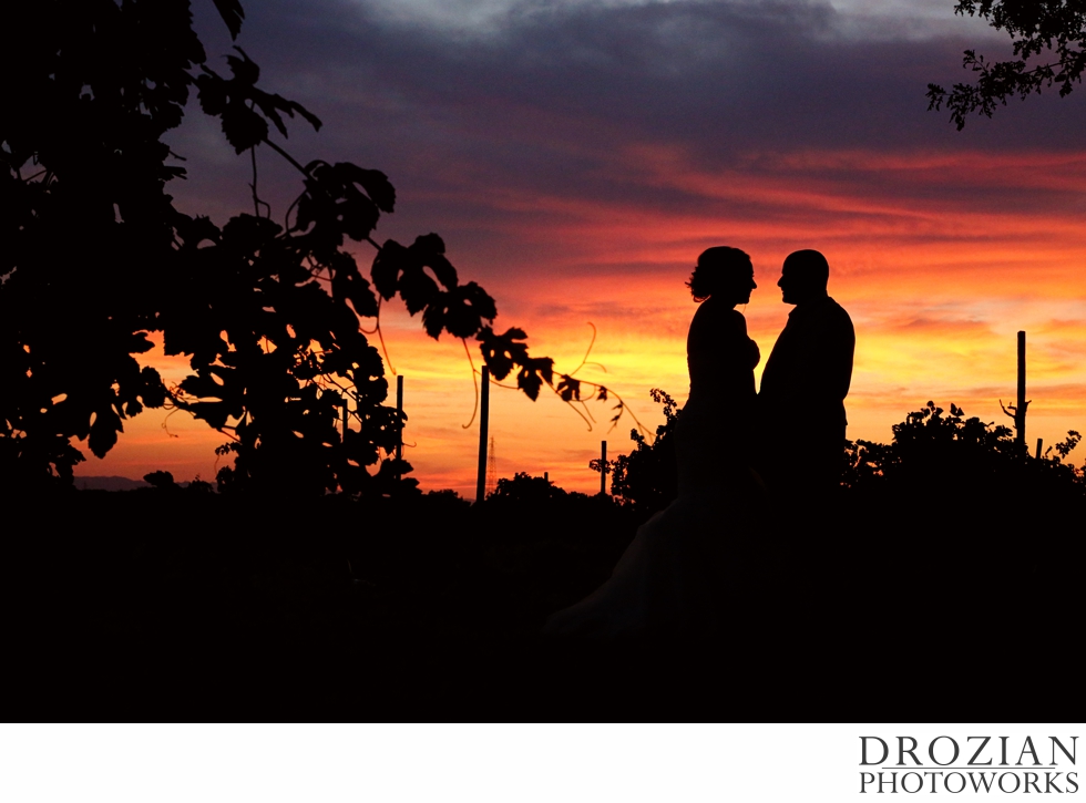 Wilson-Vineyard-Sacramento-Wedding-Drozian-Photoworks-017